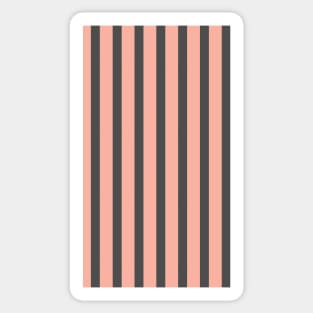 Admon | Colorful Stripes Pattern Sticker